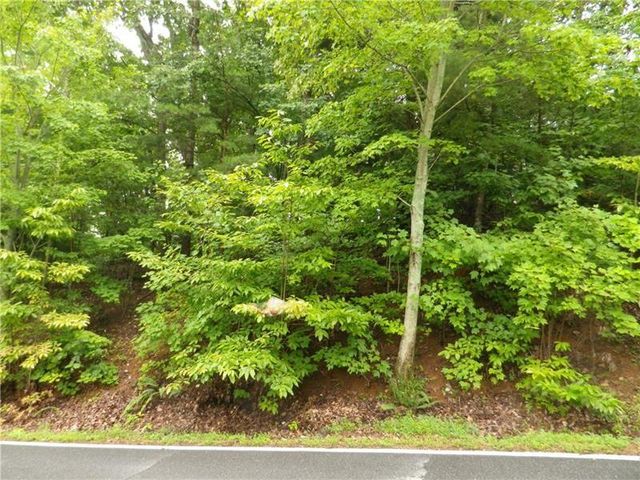 8242 Cox Mountain Drive, Big Canoe, GA 30143