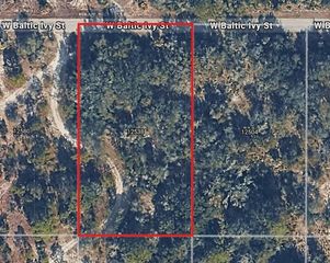 12538 W BALTIC IVY STREET, Crystal River, FL 34428