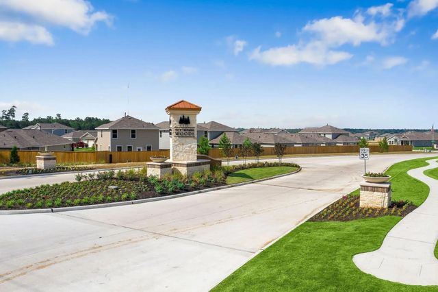 25914 Northpark Birch Drive, Porter, TX 77365