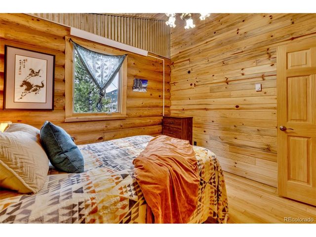 2246 County Road 4, Alma, CO 80420