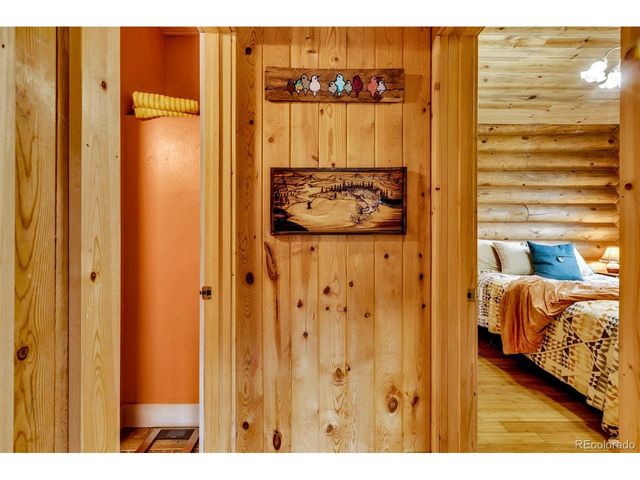 2246 County Road 4, Alma, CO 80420