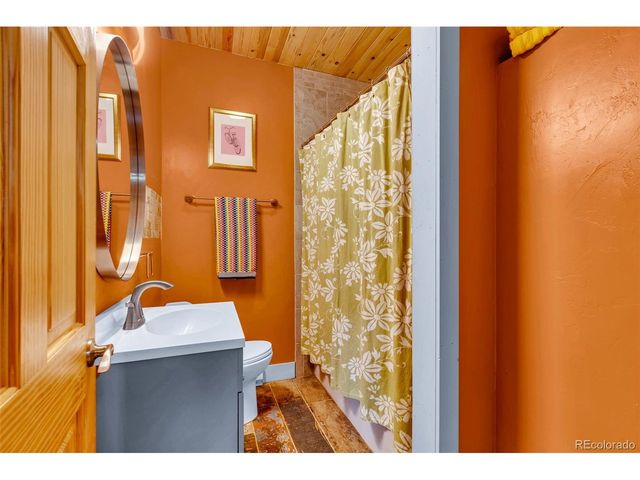 2246 County Road 4, Alma, CO 80420