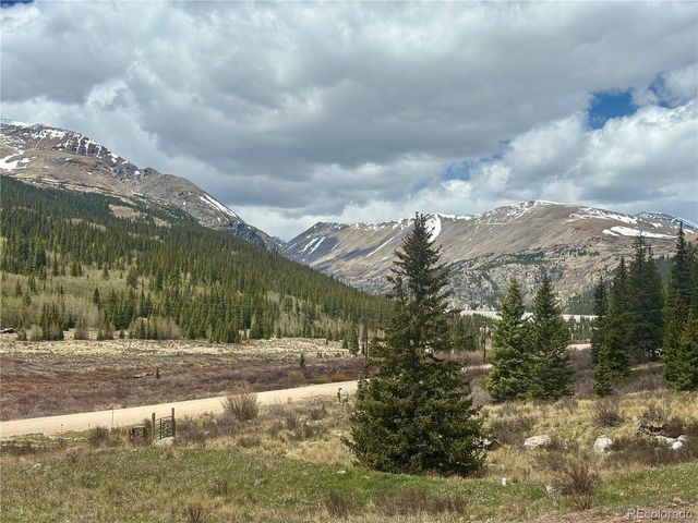 2246 County Road 4, Alma, CO 80420