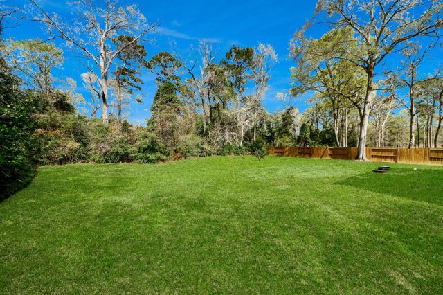 19339 Serpenteer Drive, Porter, TX 77365