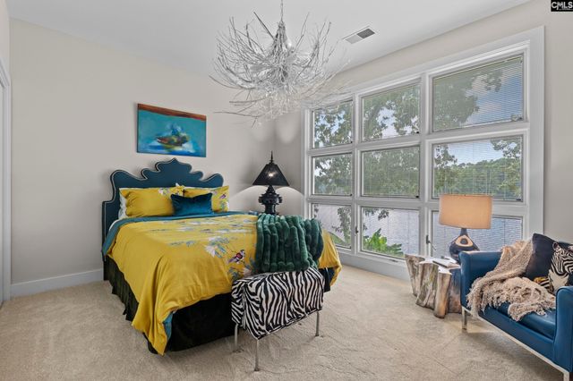 368 Frick Court, Chapin, SC 29036