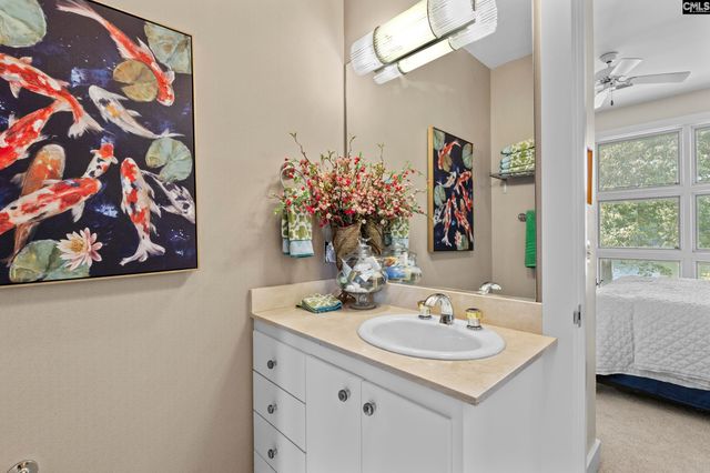 368 Frick Court, Chapin, SC 29036