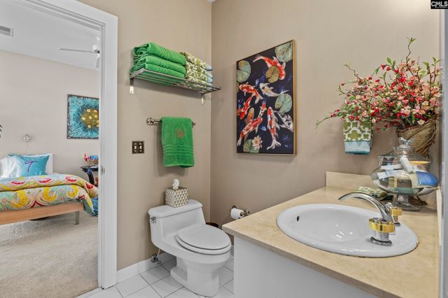 368 Frick Court, Chapin, SC 29036