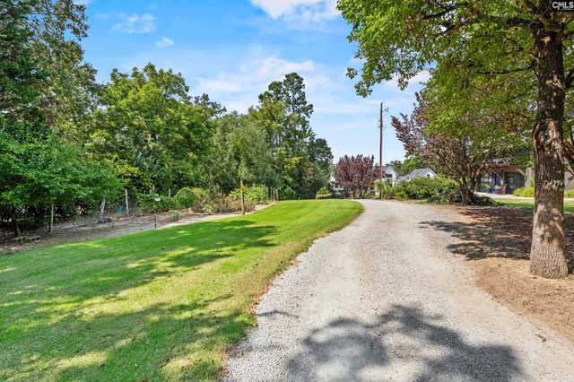 368 Frick Court, Chapin, SC 29036