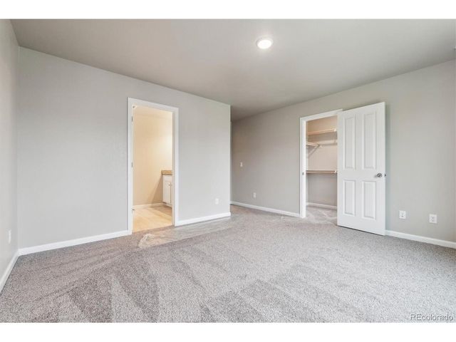 286 Shoveler Way, Johnstown, CO 80534