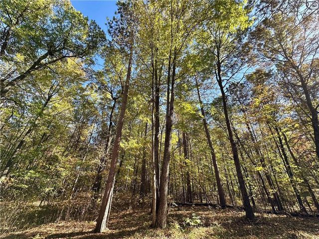 27846 290th Avenue, Holcombe, WI 54745