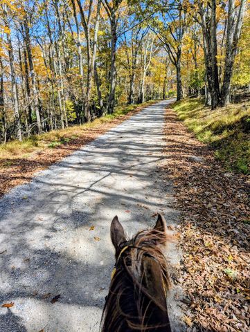 3384 Fairview Church RD, Floyd, VA 24091