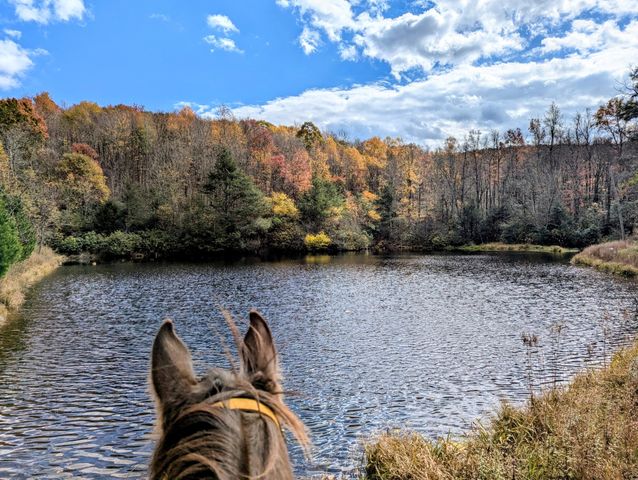 3384 Fairview Church RD, Floyd, VA 24091