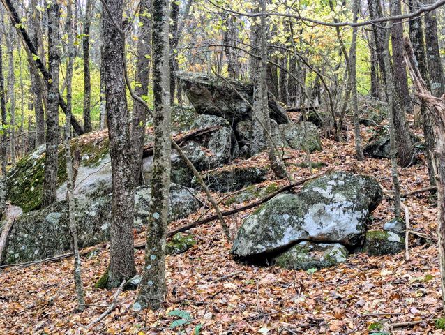 3384 Fairview Church RD, Floyd, VA 24091