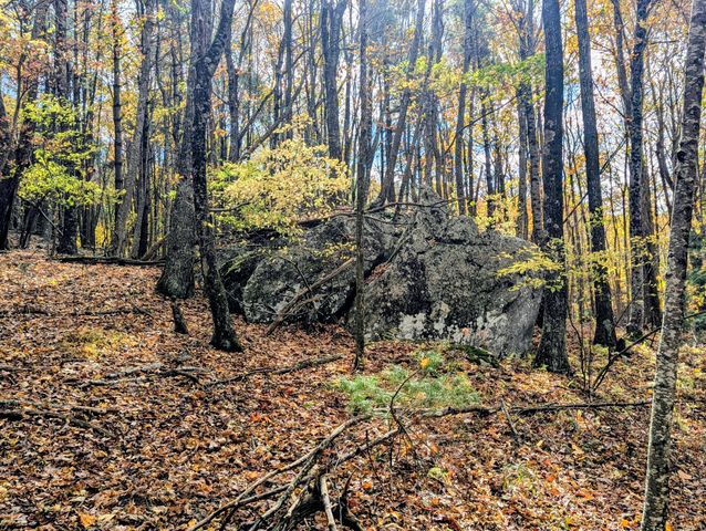 3384 Fairview Church RD, Floyd, VA 24091