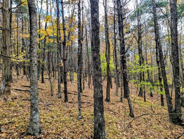 3384 Fairview Church RD, Floyd, VA 24091