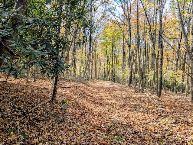 3384 Fairview Church RD, Floyd, VA 24091