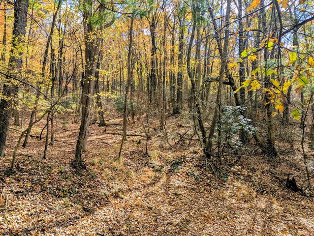 3384 Fairview Church RD, Floyd, VA 24091