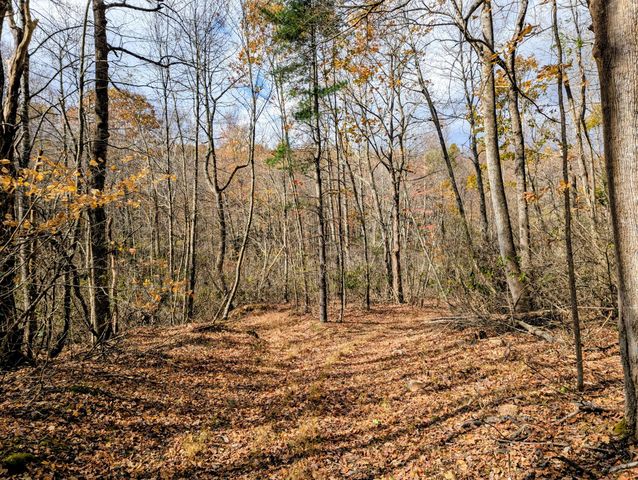 3384 Fairview Church RD, Floyd, VA 24091