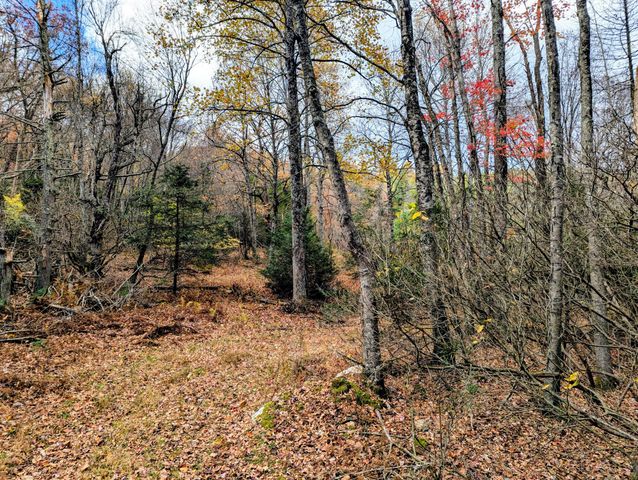 3384 Fairview Church RD, Floyd, VA 24091