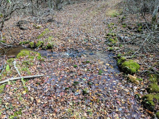 3384 Fairview Church RD, Floyd, VA 24091