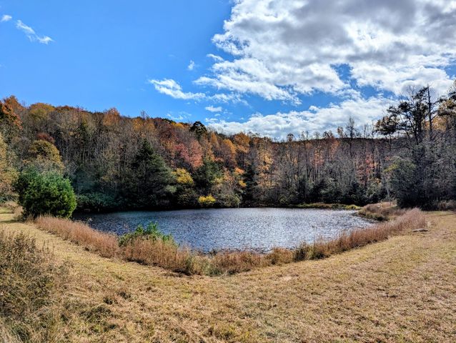 3384 Fairview Church RD, Floyd, VA 24091