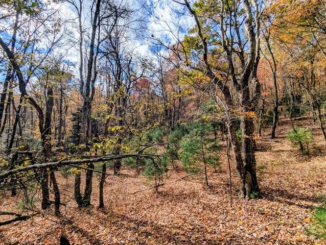 3384 Fairview Church RD, Floyd, VA 24091