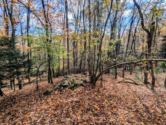 3384 Fairview Church RD, Floyd, VA 24091