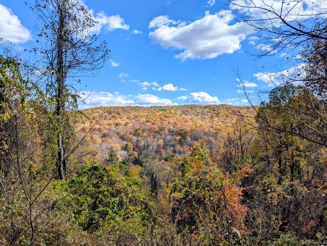 3384 Fairview Church RD, Floyd, VA 24091