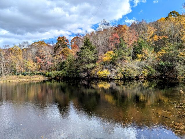 3384 Fairview Church RD, Floyd, VA 24091