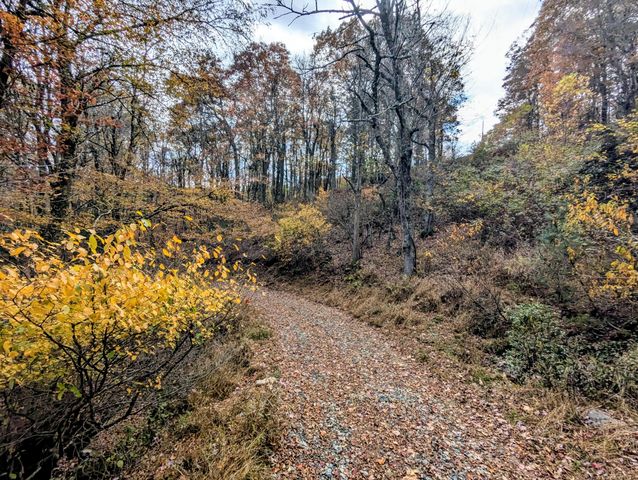 3384 Fairview Church RD, Floyd, VA 24091