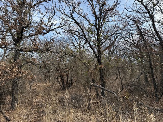 0 Lindsey Lane, Runaway Bay, TX 76426