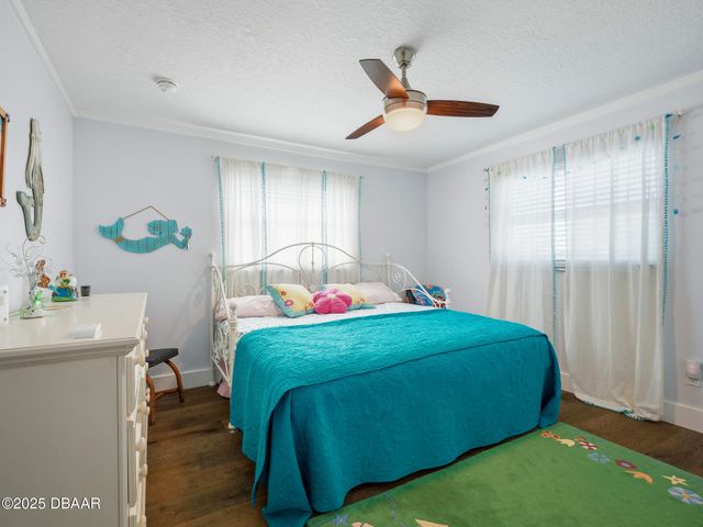 4704 Van Kleeck Drive, New Smyrna Beach, FL 32169