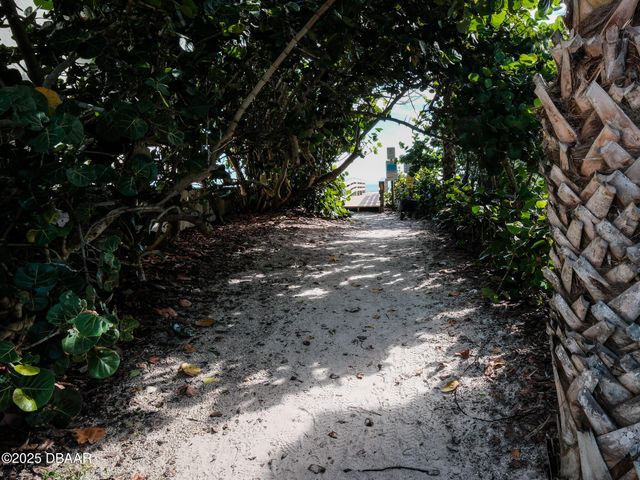 4704 Van Kleeck Drive, New Smyrna Beach, FL 32169