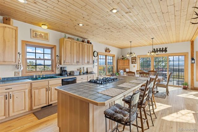 76 No Place Road, Hartsel, CO 80449