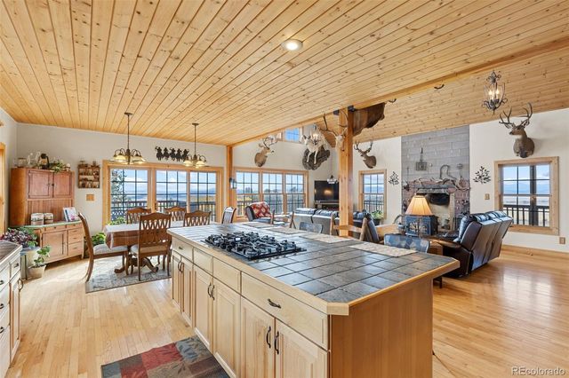 76 No Place Road, Hartsel, CO 80449