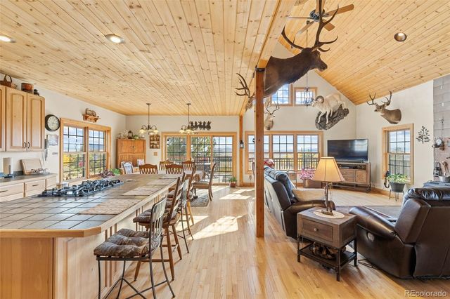 76 No Place Road, Hartsel, CO 80449