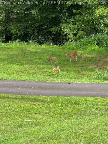 1406 Holmes Hollow Road, Charleston, WV 25312