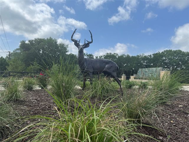 Lot 13 Buck Trail Road, Pottsboro, TX 75076