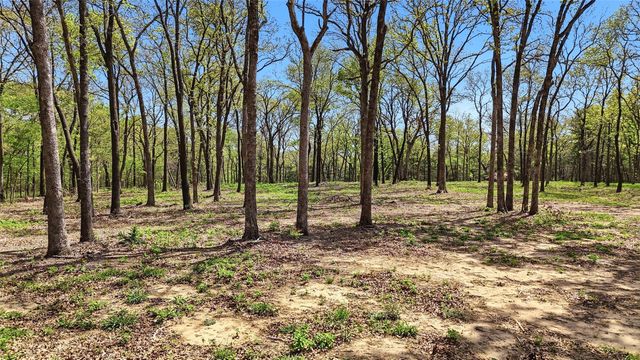 Lot 13 Buck Trail Road, Pottsboro, TX 75076