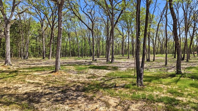 Lot 13 Buck Trail Road, Pottsboro, TX 75076