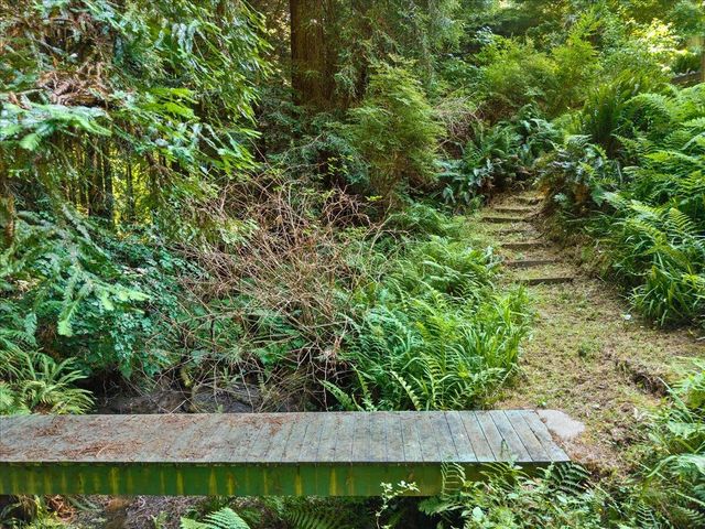 3253 Greenwood Heights Drive, Greenwood Heights, CA 95549