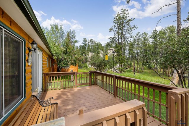 25138 BEAR ROCK RD, Custer, SD 57730