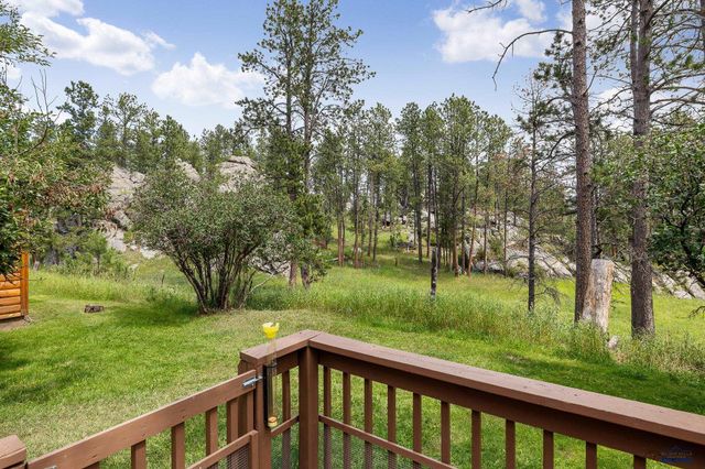 25138 BEAR ROCK RD, Custer, SD 57730