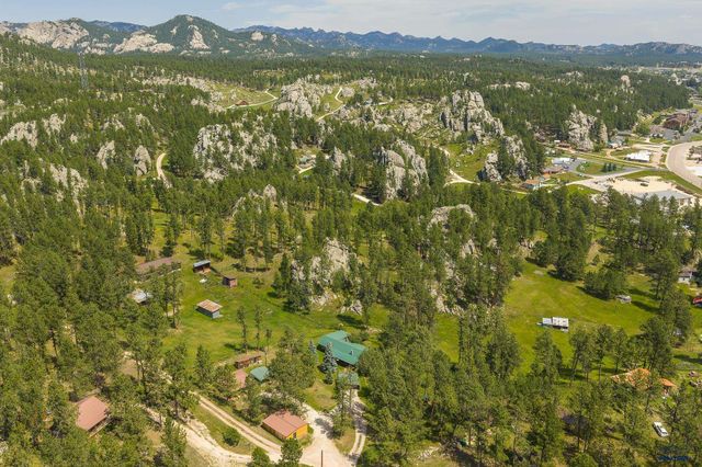 25138 BEAR ROCK RD, Custer, SD 57730