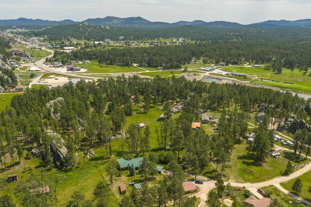 25138 BEAR ROCK RD, Custer, SD 57730