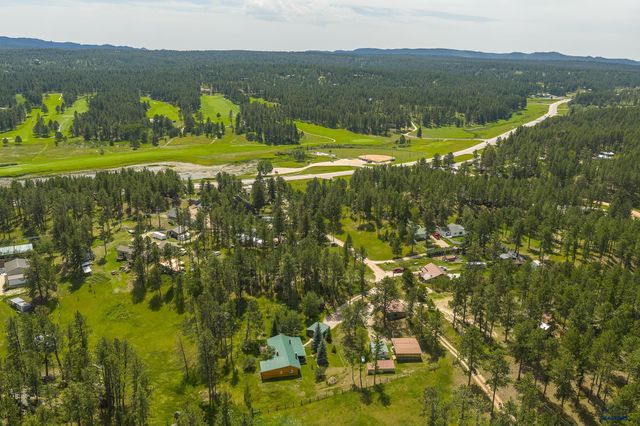 25138 BEAR ROCK RD, Custer, SD 57730
