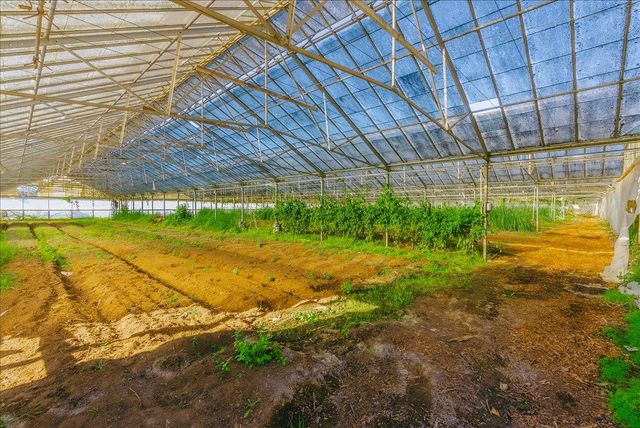 371 Calabasas Road, Watsonville, CA 95076