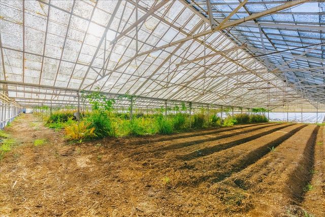 371 Calabasas Road, Watsonville, CA 95076