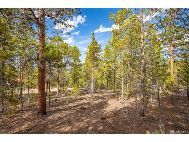 198 Lodgepole Dr, Twin Lakes, CO 81251