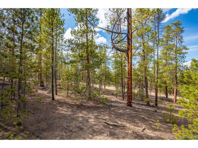 198 Lodgepole Dr, Twin Lakes, CO 81251